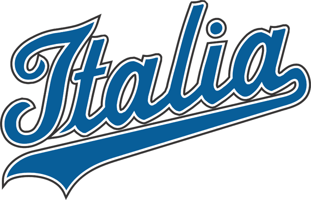 Italy 2006-Pres Primary Logo iron on heat transfer